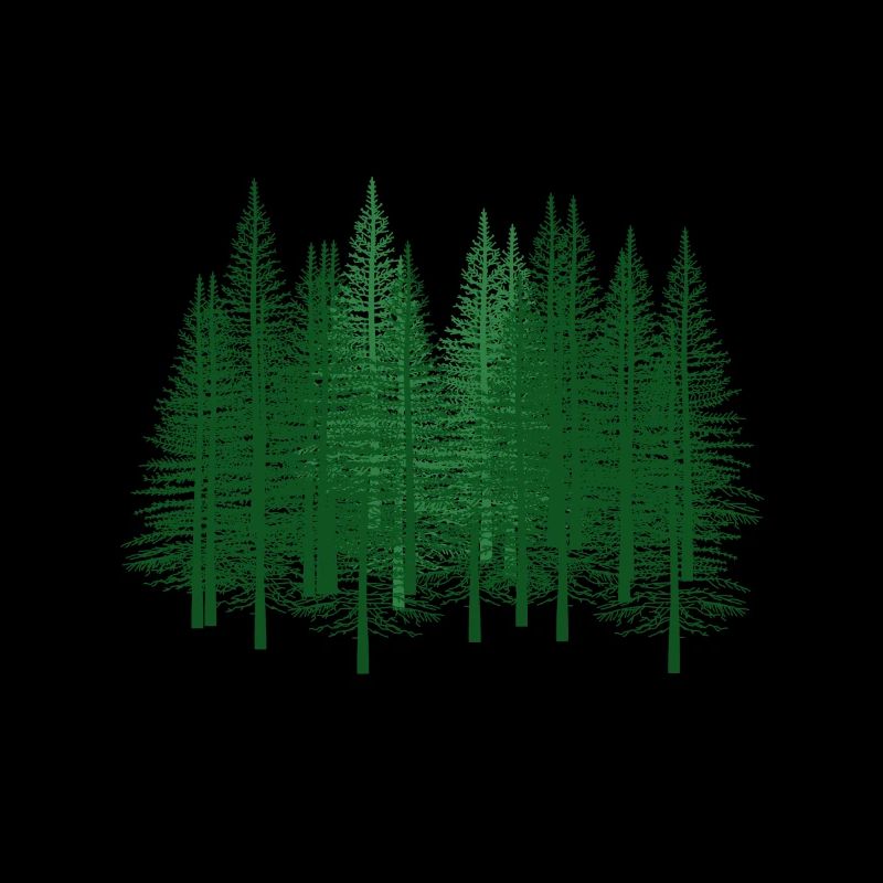 Forest Nature Hiking Fir trees Environment Wilderness