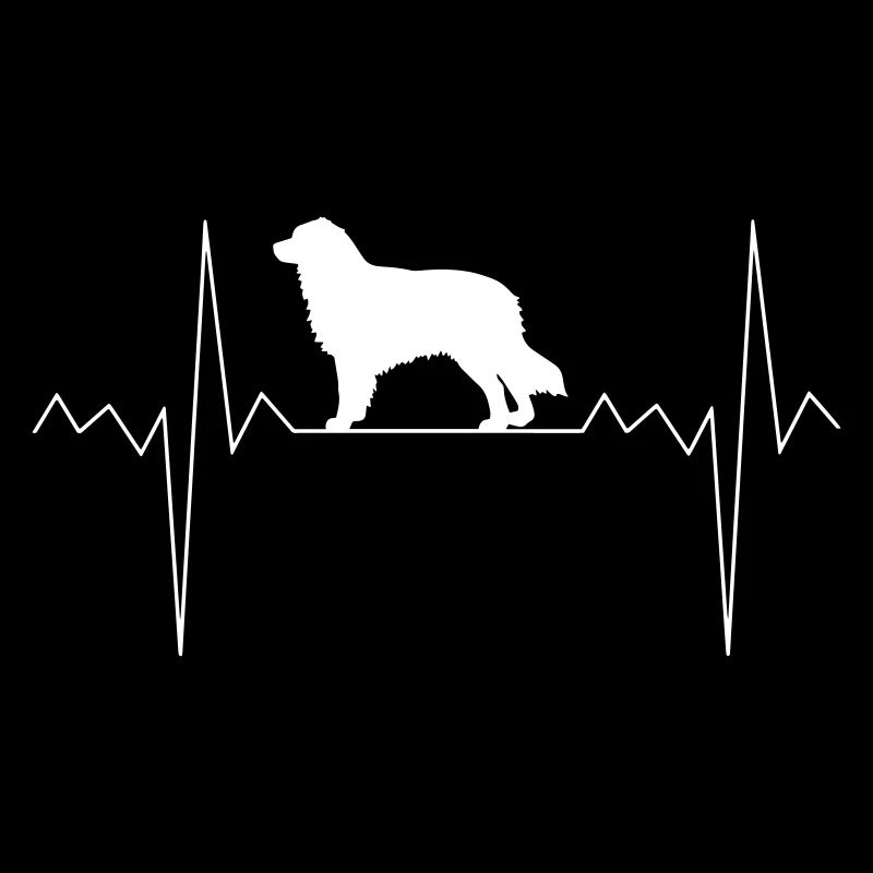 Herzschlag Herzfrequenz Australian Shepherd