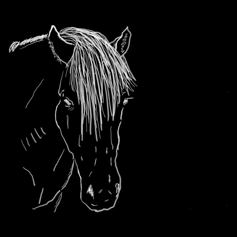 Pferd
