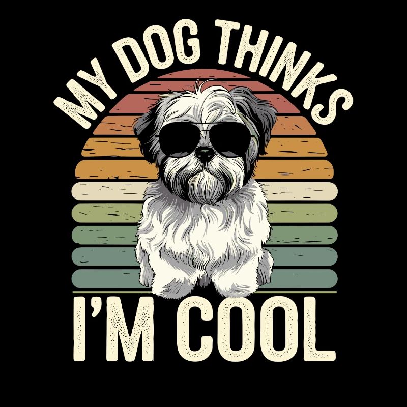 Shi Shitzu Mein Hund Denkt Das Ich Cool Bin