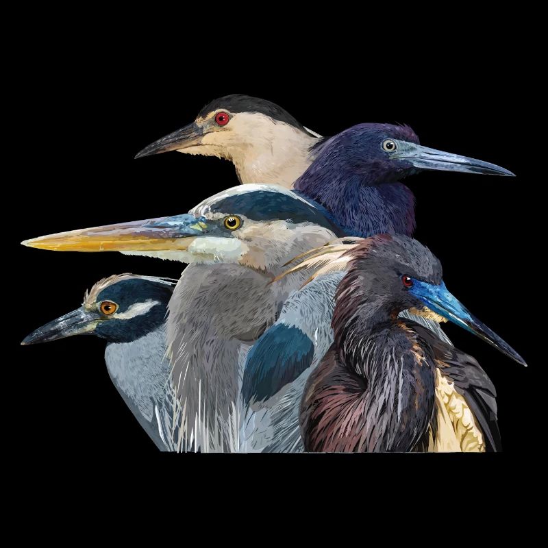 Reiher
