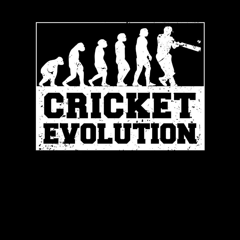 Kricketspieler Cricket-game Evolution