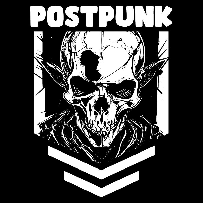 Postpunk Schedel