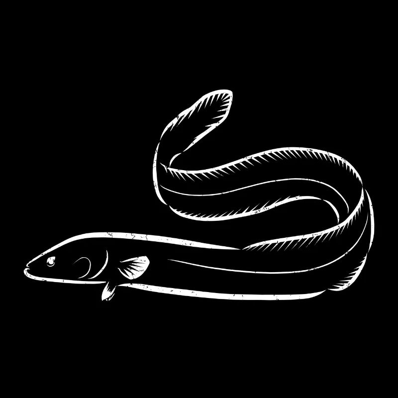 Eel fish