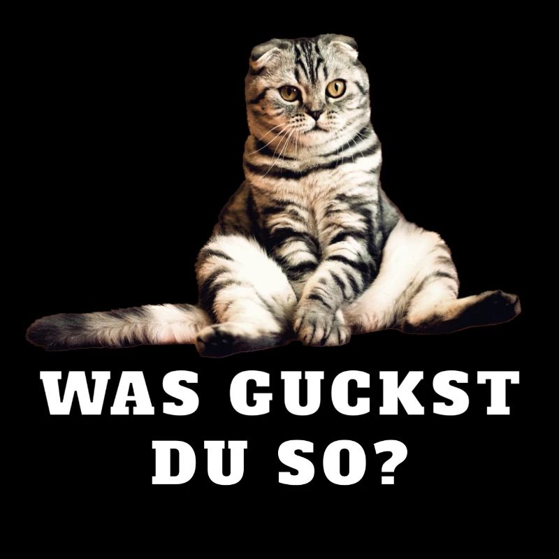 Katze – Was guckst Du so?