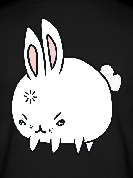 Mauvais lapin