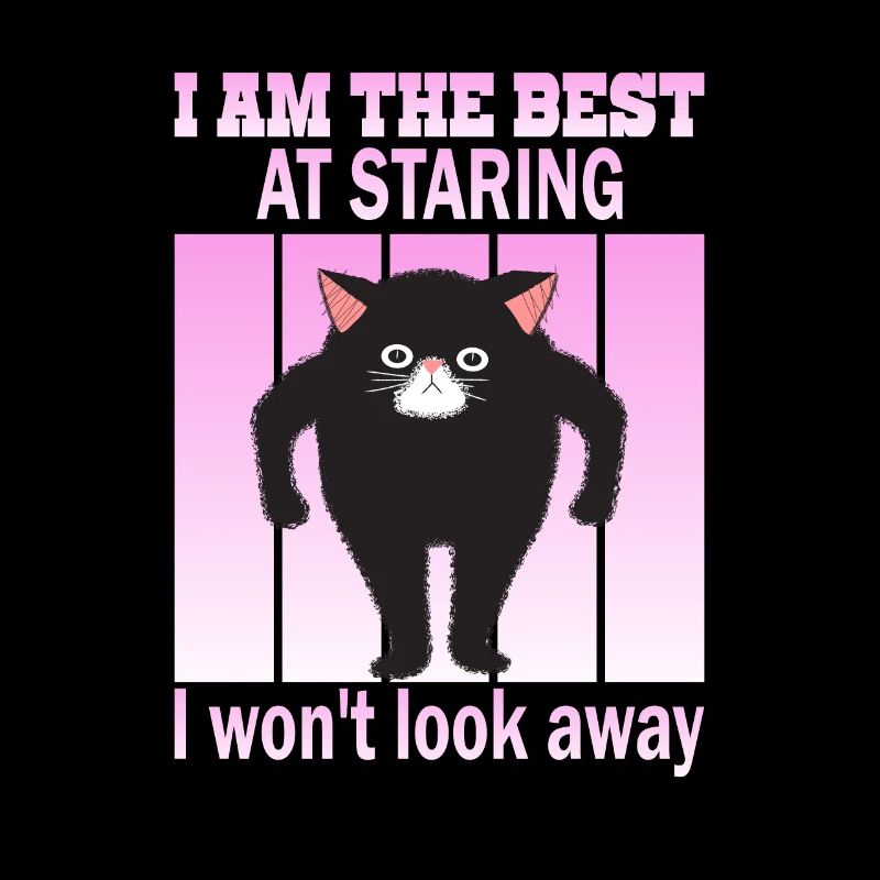 Staring Cat - Cats Staring