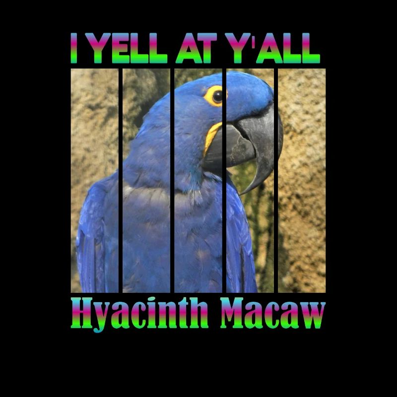 Hyacinthhara