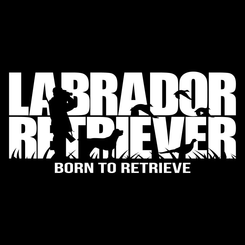 LABRADOR RETRIEVER né pour récupérer