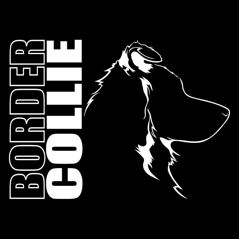 BORDER COLLIE Chiens Chiens Chien de troupeau Wilsigns