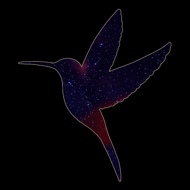 Kolibri mit Sternenhimmel