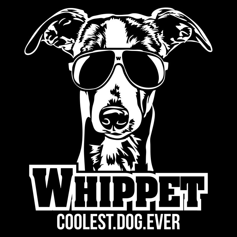 WHIPPET le chien le plus cool Wilsigns