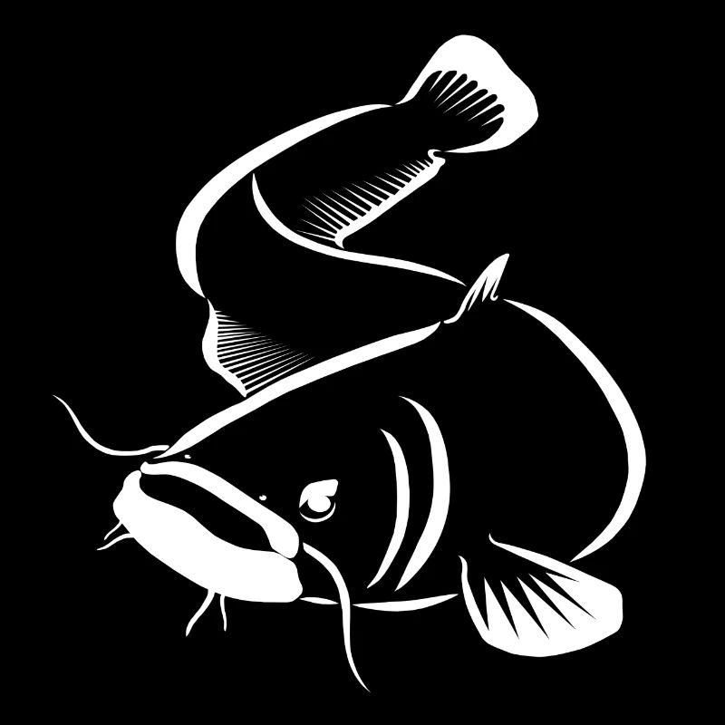 Silure - pêche silure