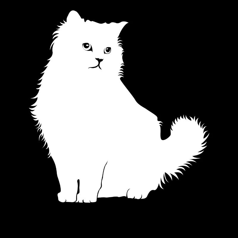 Chat Ragdoll Chat Ragdoll