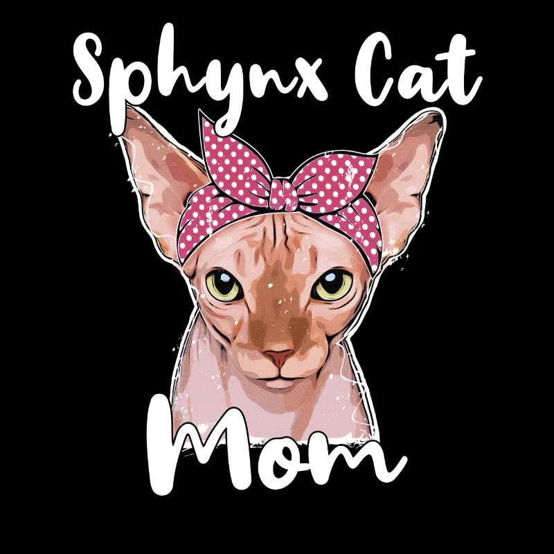Sphynx Chat Maman Sphynx Chat