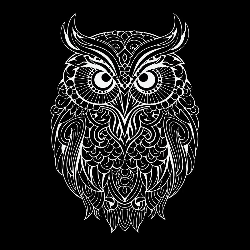 Mythical Magical Boho Owl with Patterns