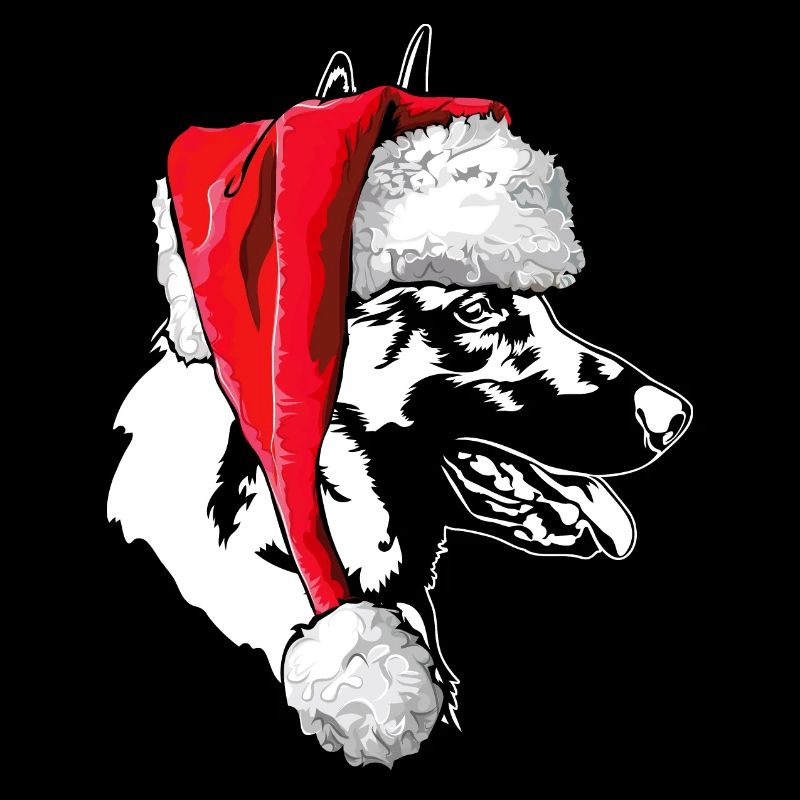 Père Noël Malinois Saint-Nicolas chiens Wilsigns