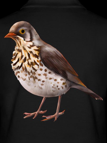 Grive oiseau