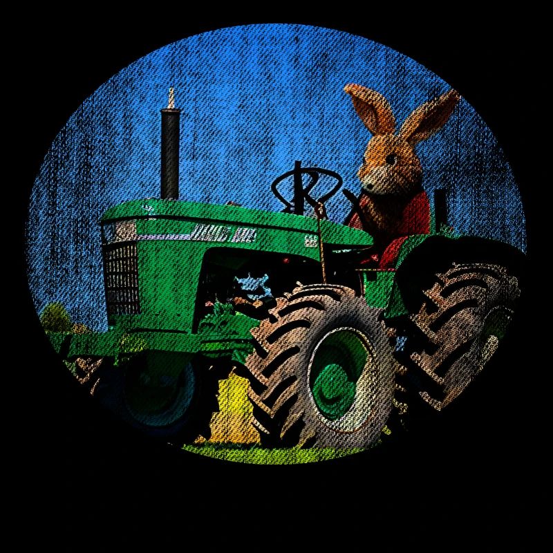 Hase auf Trecker Traktor
