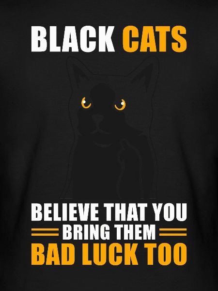 Superstition Chat Noir