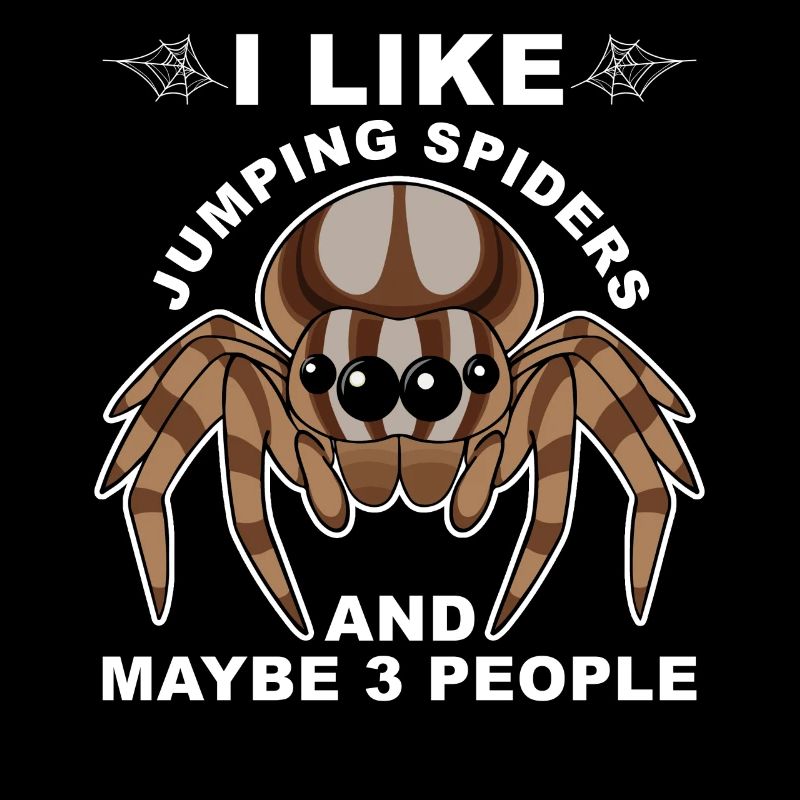 Dicton Jumping Spider