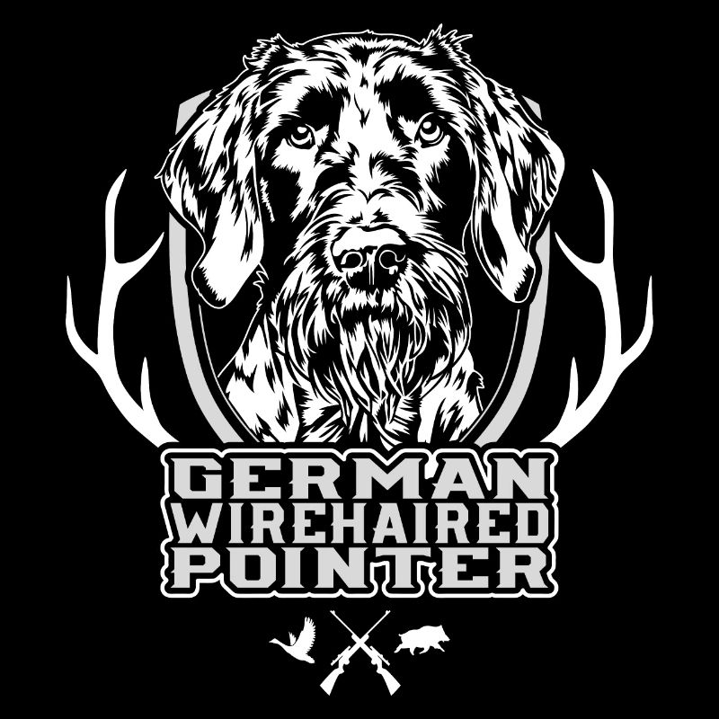 German Wirehaired Pointer Jagdhunde Hunde Wilsigns