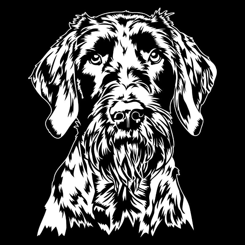 Deutsch Drahthaar Portrait Hunde Jagdhund Wilsigns