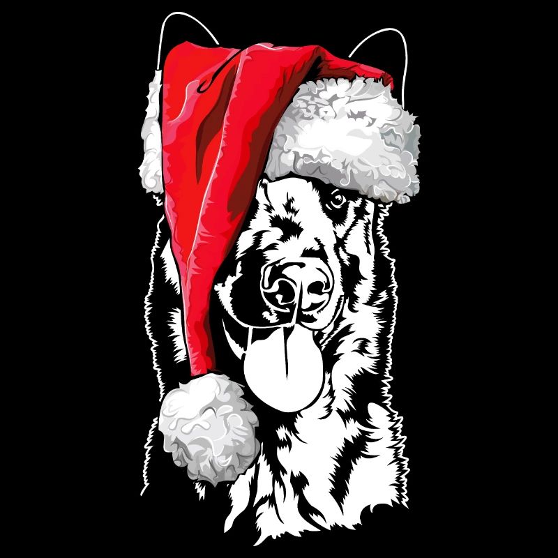 Père Noël Malinois Saint-Nicolas chiens Wilsigns