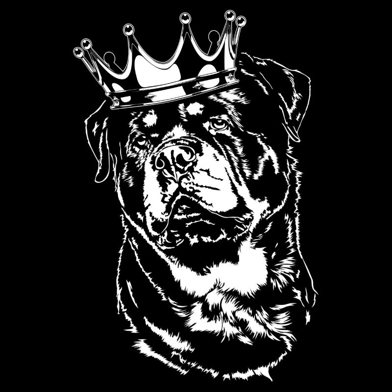 ROTTWEILER Chiens chiens chien Wilsigns