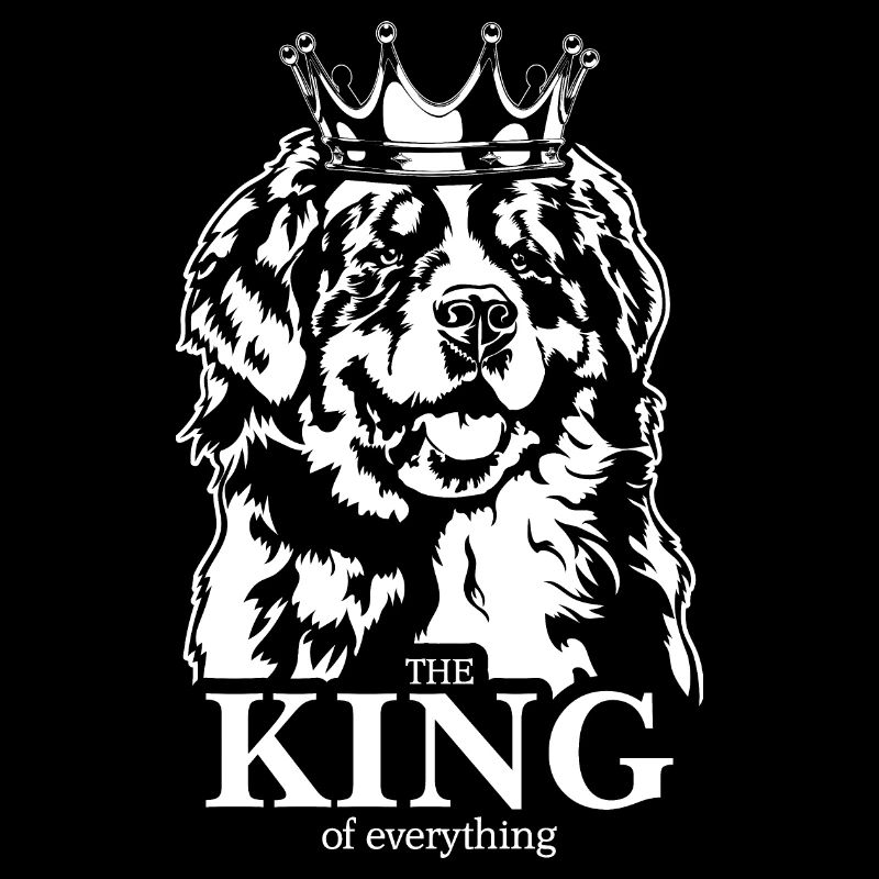 Bouvier bernois Roi de tout Chien Wilsigns