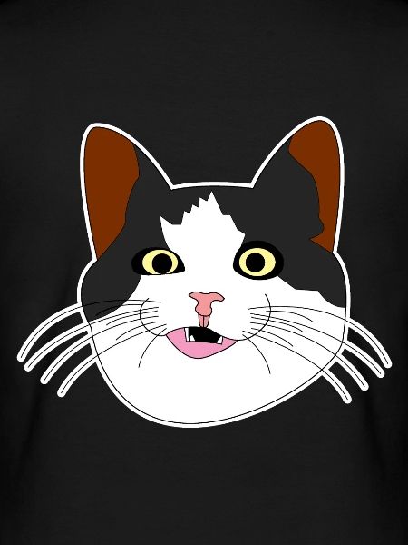 Chat tête de chat