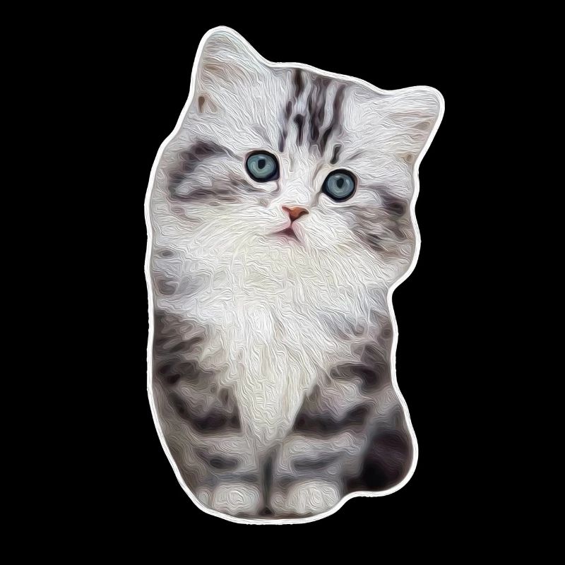 Chat de patte de velours mignon kitty kitty