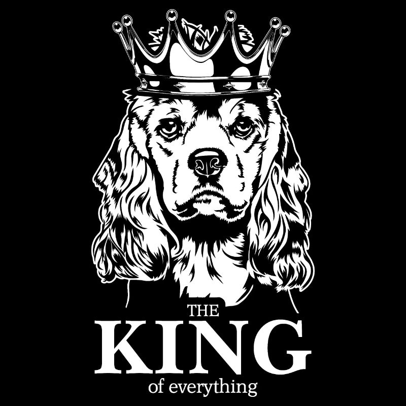 American Cocker Spaniel King of everything Hunde