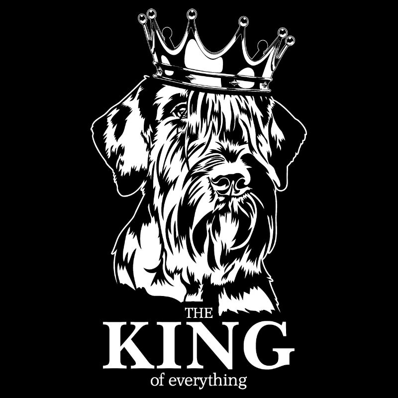 Schnauzer géant roi de tout chiens Wilsigns