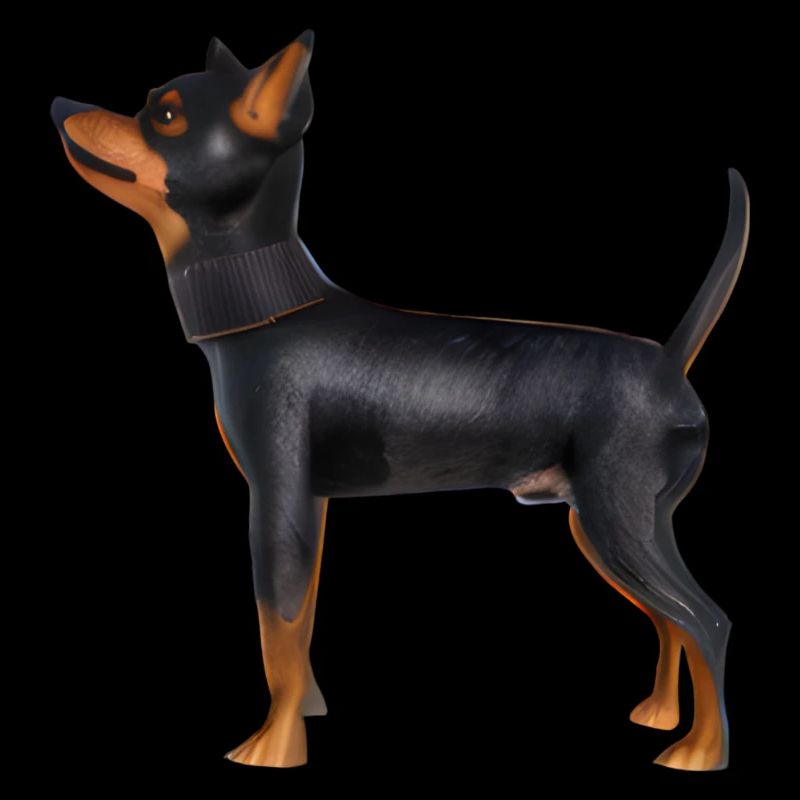 Lancashire Heeler