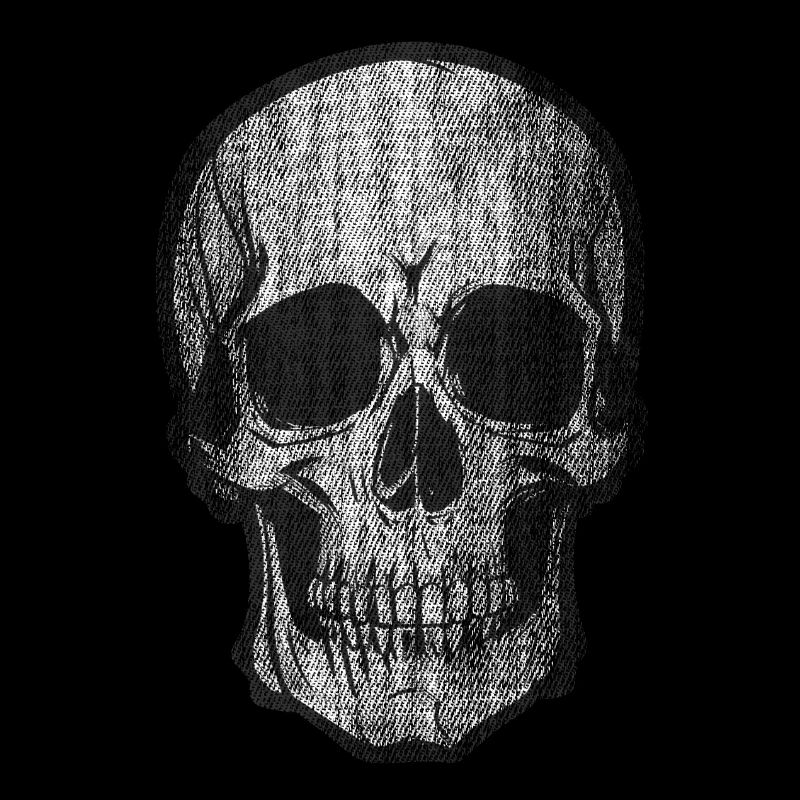 Skull Bone Skull Head Pirate