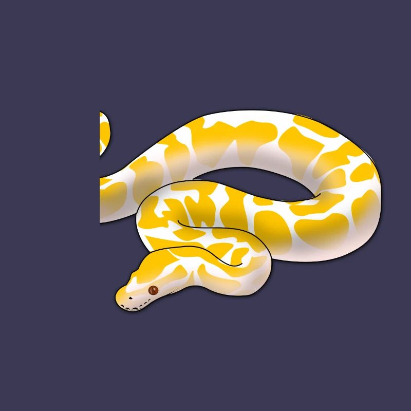 Albino ball python Python regius ballpython motif
