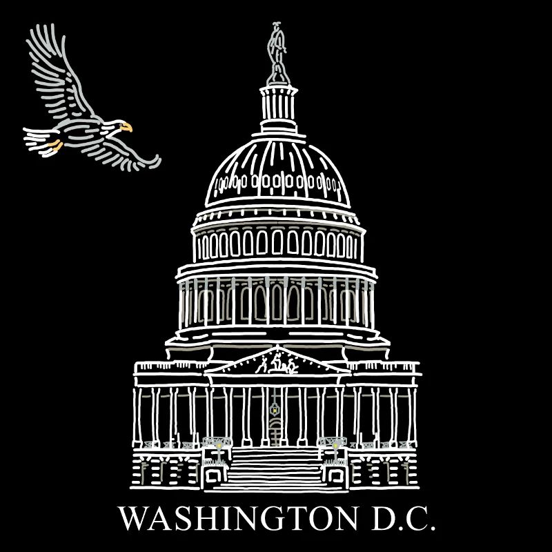 Washington D.C., Capitol Structure, Bald Eagle