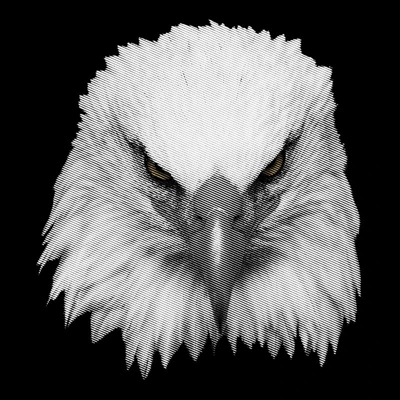 Great Eagle Kopf