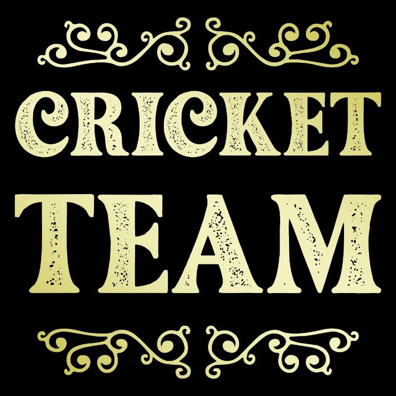 Équipe de cricket