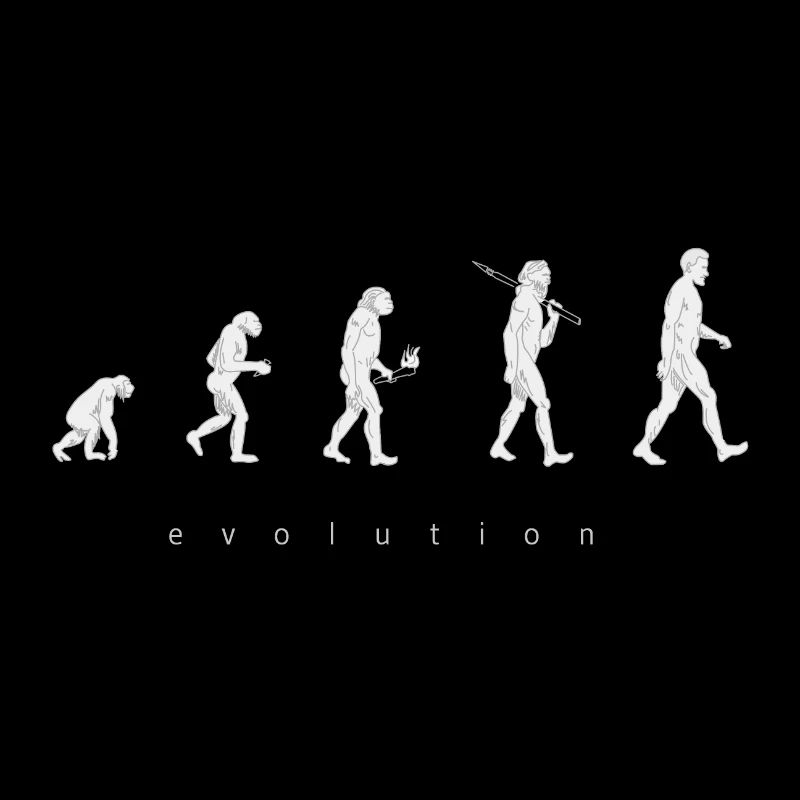Human evolution