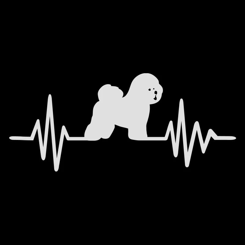 Bichon Frise