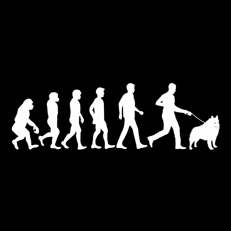 Schipperke Hund Evolution Hundebesitzer