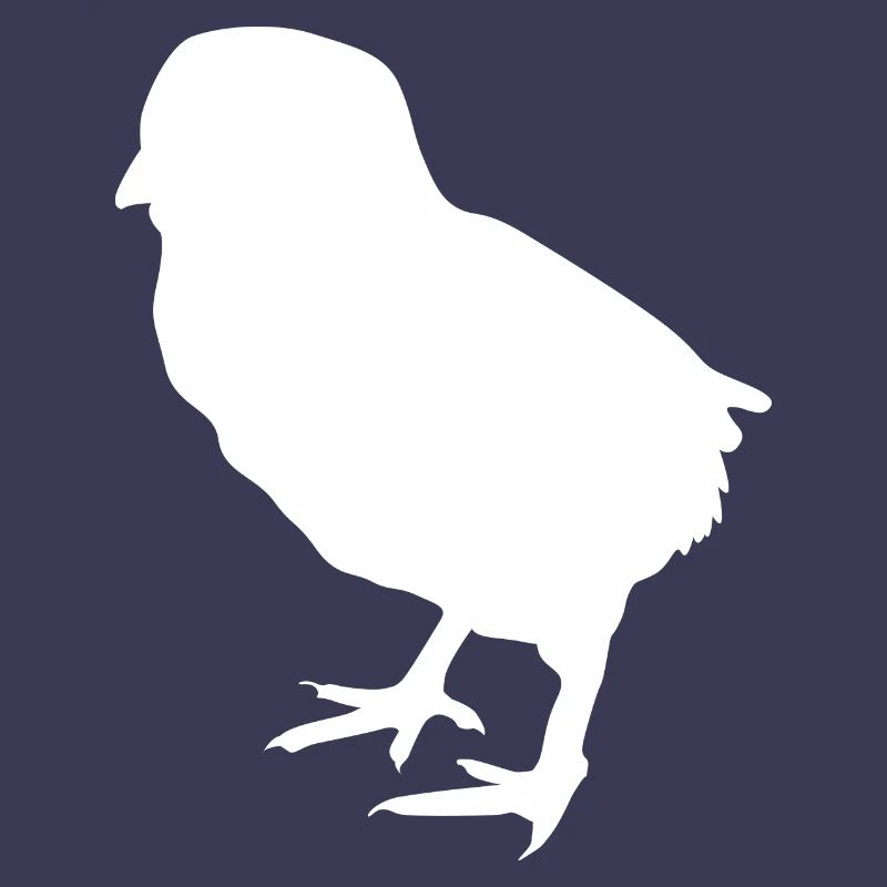 poussin