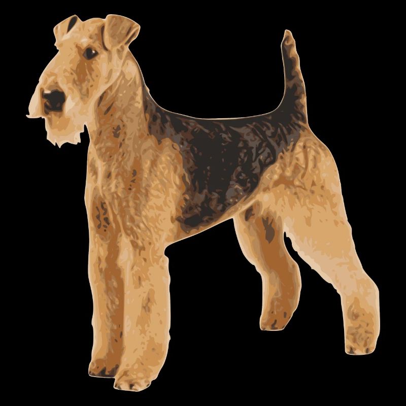 Airedale Terrier