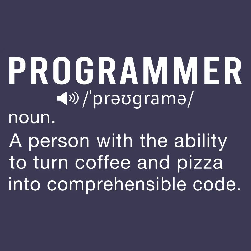Programmierer Programmierung Informatik Computer