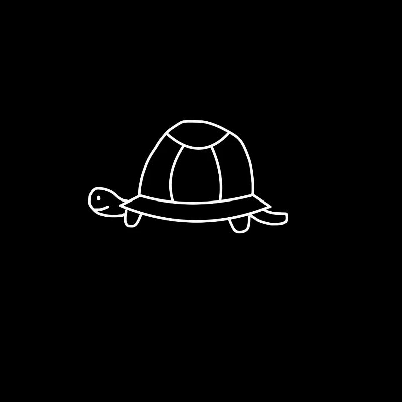 Turtle toad