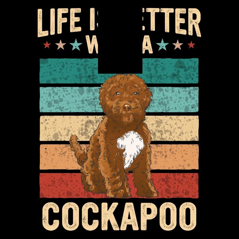 Cockapoo Hund