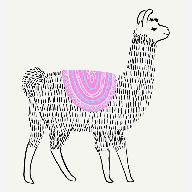 Boho Lama