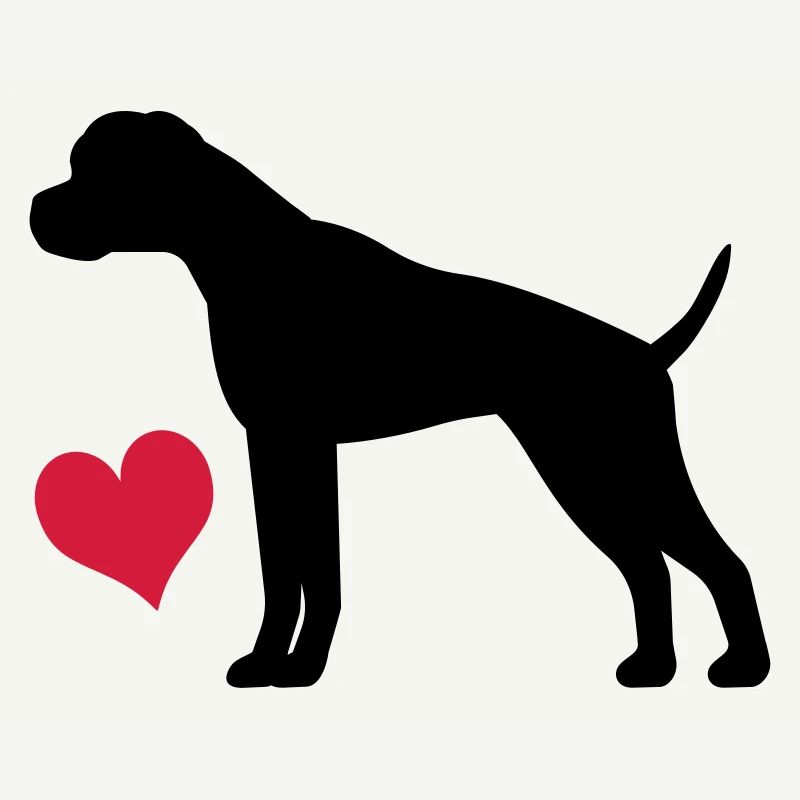 Boxer
